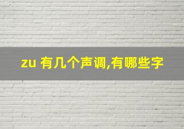 zu 有几个声调,有哪些字